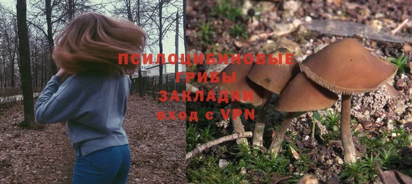 стафф Медвежьегорск