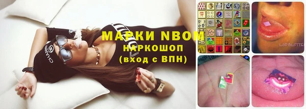 стафф Медвежьегорск