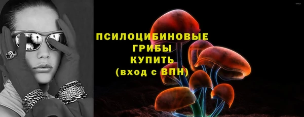 стафф Медвежьегорск
